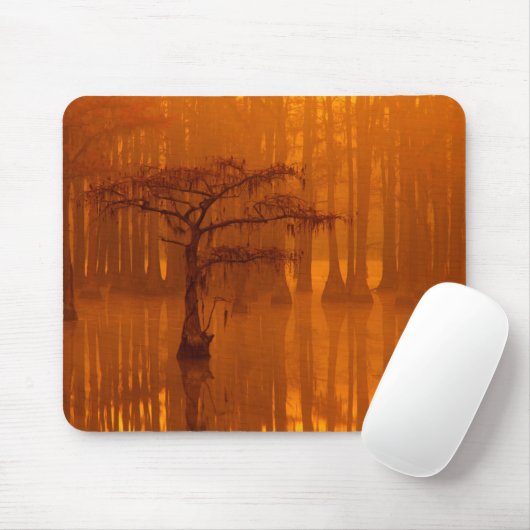 Tapis De Souris Cypress Trees | Parc d'état George Smith (Avec souris)