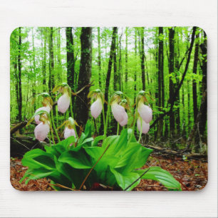 Tapis De Souris Cypripède Lady Slipper orchidée sauvage
