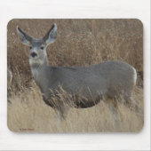Tapis De Souris D14 Mule Deer Doe (Devant)