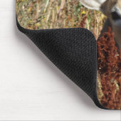 Tapis De Souris D31 Cerfs à queue blanche dans les mauvaises herbe (Coin)