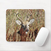 Tapis De Souris D31 Cerfs à queue blanche dans les mauvaises herbe (Avec souris)