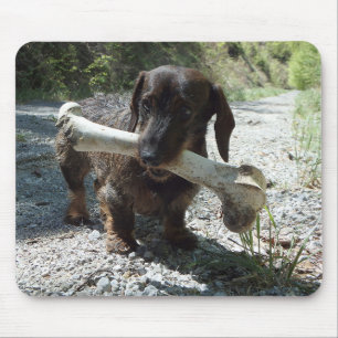 Tapis De Souris Dachshund