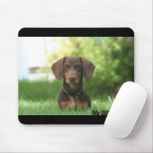 Tapis De Souris Dachshund (Avec souris)