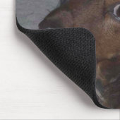 Tapis De Souris Dachshund Mousepad (Coin)