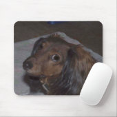 Tapis De Souris Dachshund Mousepad (Avec souris)