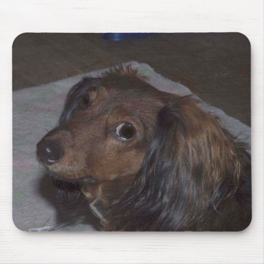 Tapis De Souris Dachshund Mousepad (Devant)