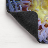 Tapis de souris d'actinie (Coin)