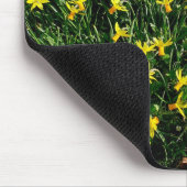 Tapis De Souris Daffodiles/Narcisse (Coin)
