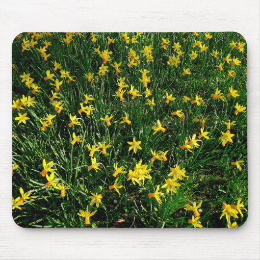 Tapis De Souris Daffodiles/Narcisse (Devant)