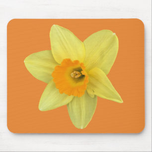 Tapis De Souris Daffodique de printemps jaune