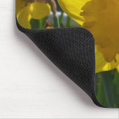 Tapis De Souris Daffodique éclairé (Coin)