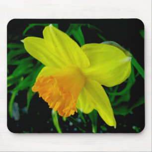 Tapis De Souris Daffodique jaune orange Mousepad