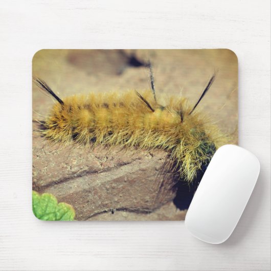 Tapis De Souris Dagger Moth Caterpillar Nature (Avec souris)