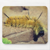 Tapis De Souris Dagger Moth Caterpillar Nature (Devant)