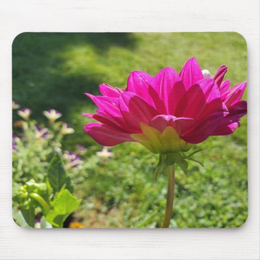 Tapis De Souris Dahila rose (Devant)