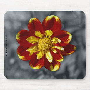 Tapis De Souris Dahlia