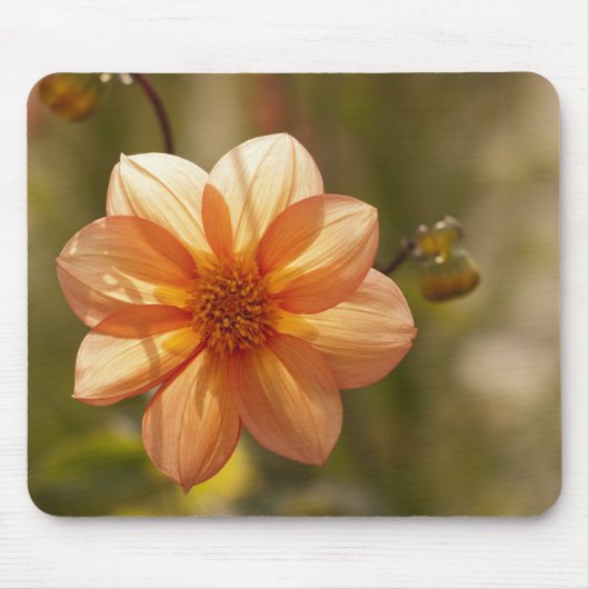 Tapis de souris Dahlia (Devant)