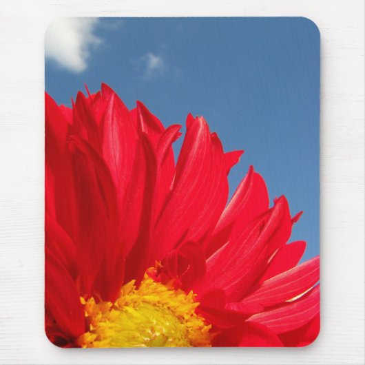 Tapis De Souris dahlia (Devant)