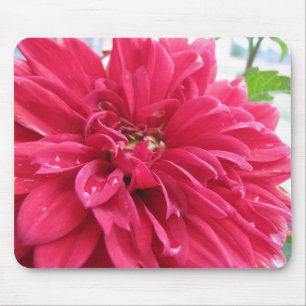 Tapis De Souris dahlia