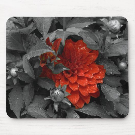 Tapis De Souris Dahlia-mousepad (Devant)