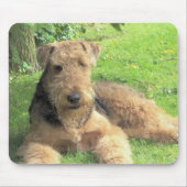 Tapis de souris d'Airedale Terrier (Devant)