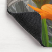 Tapis De Souris Daisies Mousepad (Coin)