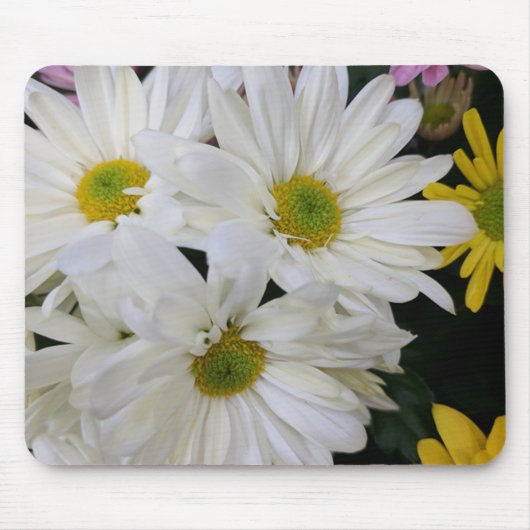 Tapis De Souris Daisy (Devant)