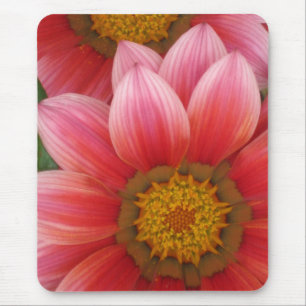 Tapis De Souris Daisy africain