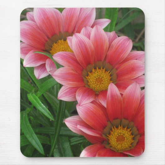Tapis De Souris Daisy africain (Devant)