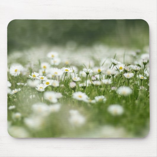 Tapis De Souris Daisy Meadow (Devant)