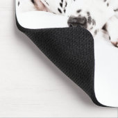 Tapis de souris Dalmatiner (Coin)