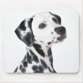 Tapis De Souris Dalmation (Devant)