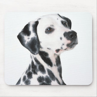 Tapis De Souris Dalmation