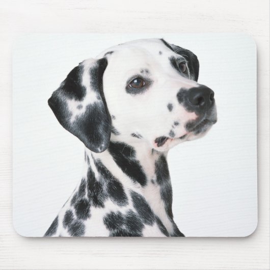 Tapis De Souris Dalmation (Devant)