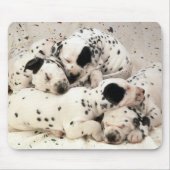 Tapis De Souris Dalmations (Devant)