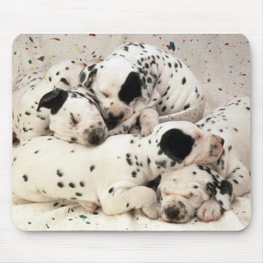 Tapis De Souris Dalmations (Devant)