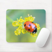 Tapis De Souris dame sur le dessus (Avec souris)