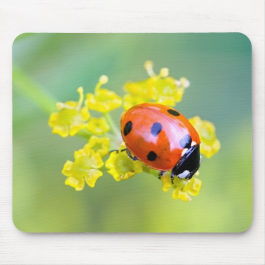 Tapis De Souris dame sur le dessus (Devant)