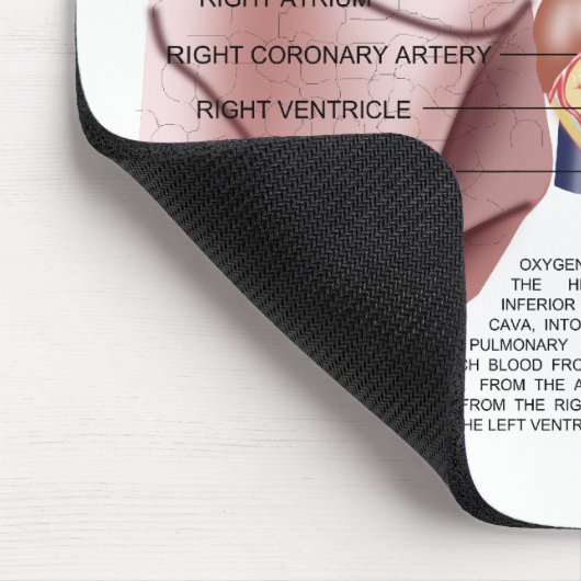 Tapis de souris d'anatomie de coffre (Coin)