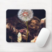 Tapis De Souris Dandelion (Avec souris)