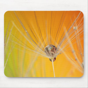 Tapis De Souris Dandelion Fleurs Destiny Peace Love Art