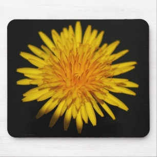 Tapis De Souris Dandelion Flower mpcn