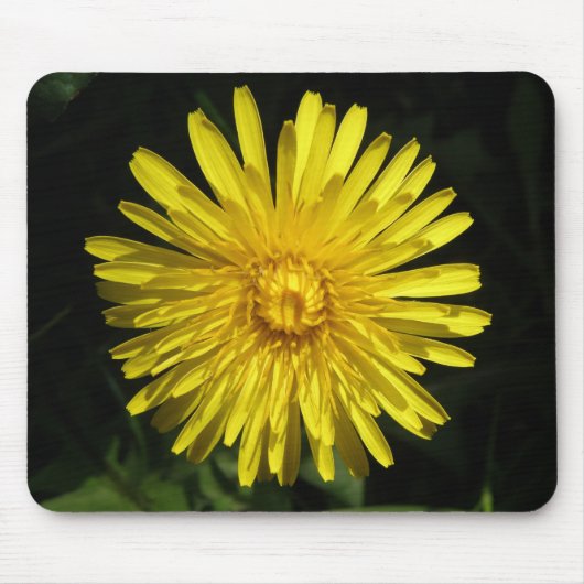 Tapis De Souris Dandelion Mousepad (Devant)