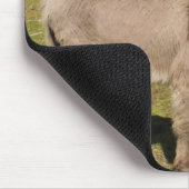 Tapis de souris d'âne et de vache (Coin)