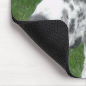 Tapis De Souris Danois de harlequin (Coin)