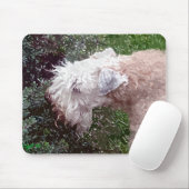 Tapis De Souris "Dans le jardin" (Avec souris)