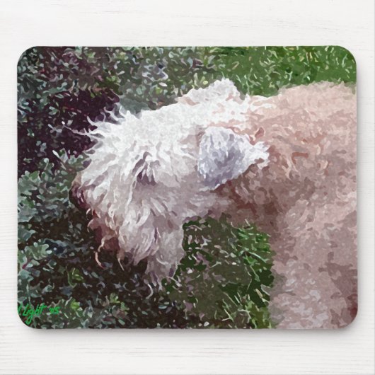 Tapis De Souris "Dans le jardin" (Devant)