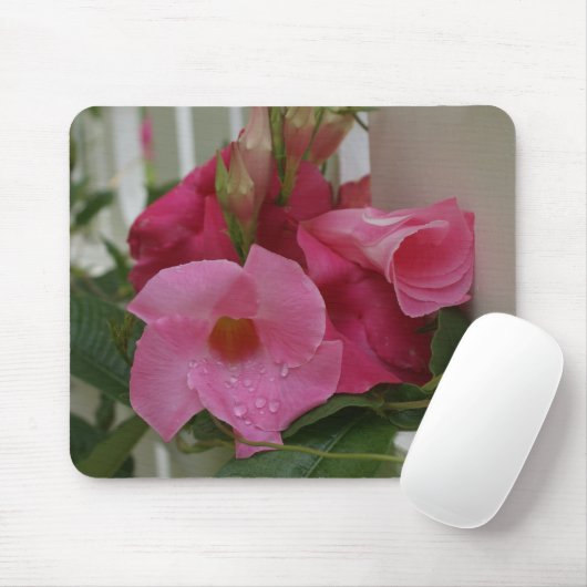 Tapis De Souris Dans M_70 rose Mousepad (Avec souris)