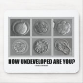 Tapis De Souris Dans Quelle Mesure Êtes-Vous Non Développé ? Embry (Devant)