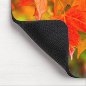Tapis De Souris Danse Maple Leaf (Coin)
